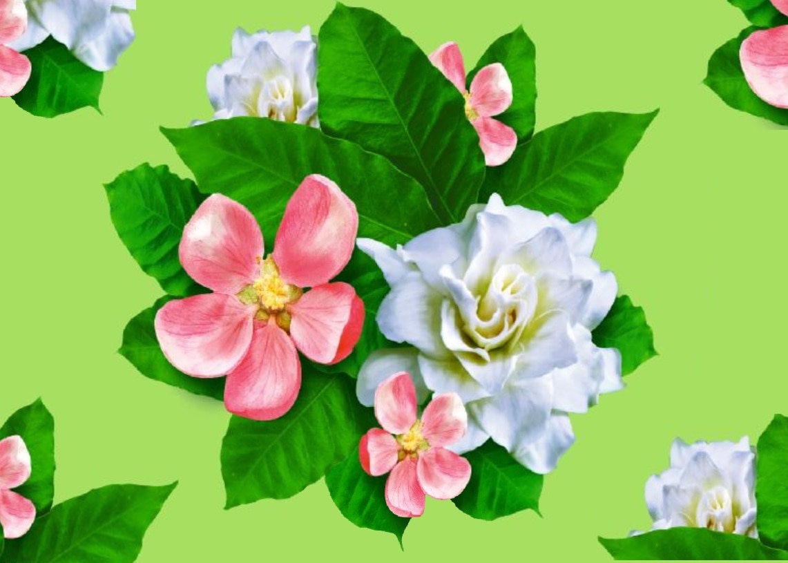 manzana y gardenia manzana y gardenia