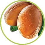 Argán Argán