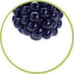 mora mora