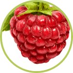 frambuesa frambuesa
